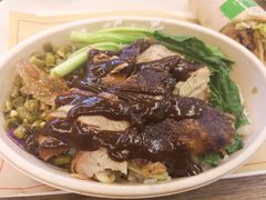 麻辣鸭肉饭-特派卷·老北京烤鸭卷(合生汇购物中心店)