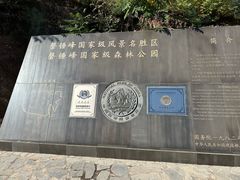 -磬锤峰森林公园