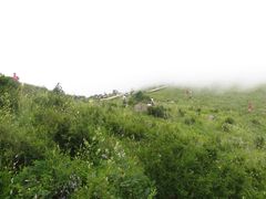 -白草畔自然风景区