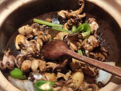 生啫八爪鱼-啫神·广州地标美食(北京路店)