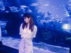 -江和美海洋公园
