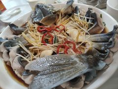 -煲来饱去冷水鱼