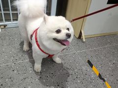-宠物家(大兴旧宫店)