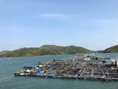 -盐洲岛
