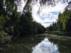 -上海滨江森林公园