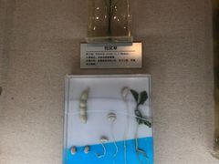 -青藏高原自然博物馆