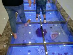 -北海金海湾红树林生态旅游区