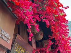 -求生煎包(武夷小区店)