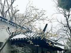 -拙政园