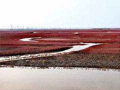-红海滩国家风景廊道