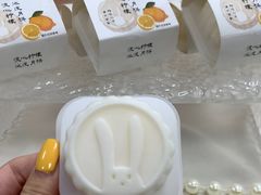 -宏发园动物奶油生日蛋糕(先锋路店)