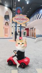 -奈尔宝·儿童乐园·亲子餐厅(鄞州万达店)