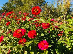 -永定河休闲森林公园