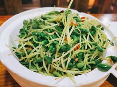 有机砂锅豌豆苗-金厨帽烤鱼(芦庄店)