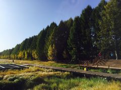 -塞罕坝国家级自然保护区