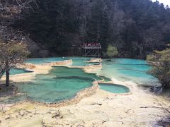 -黄龙山原始森林景区