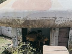 -青藏高原野生动物园