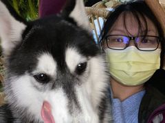 -Husky Go! 哈士奇体验馆·宠物咖啡厅狗咖