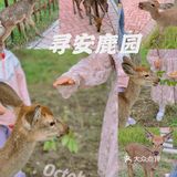 🍞十一假期🥱｜分享新的游玩好地｜散养的小鹿🍑｜🍴小鹿乱撞🥢