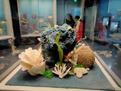 -天津自然博物馆