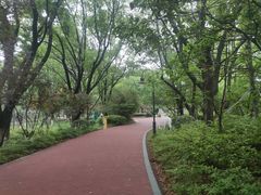 -金鸡湖桃花岛