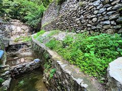 -北京上方山国家森林公园