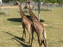 -南京金牛湖风景区