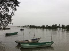 -东寨港红树林旅游区