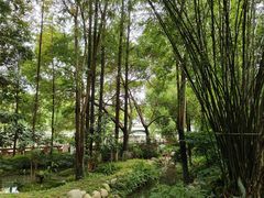 -成都市活水公园