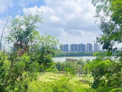 -顺峰山公园