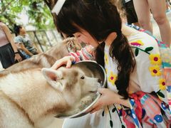 -TrueLove @ Neverland (Husky Cafe)