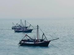 -港珠澳大桥(珠海段)