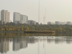 -东湖公园