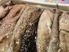 -蜀九香火锅(李家沱店)