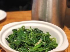 白灼青菜-陈鹏鹏潮汕菜(欢乐海岸 海边景观店)
