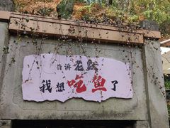 -龙井壹号·茶缘山景宴(龙井村店)