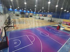 -翔龙双鱼篮球馆