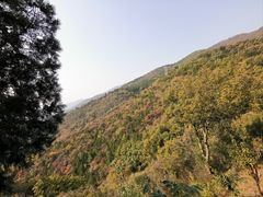 -红螺寺