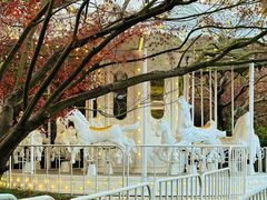 -J Create城市露营咖啡·简餐·宠物(上海动物园店)