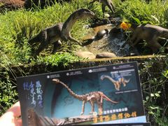 -自贡恐龙博物馆