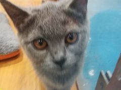 -龟与熊猫宠物公园(南坪店)