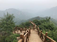 -大岭沟猕猴桃谷风景区
