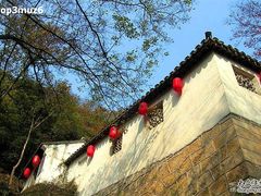 白云茶室1-白云泉茶室