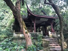 -浙江省博物馆(孤山馆区)