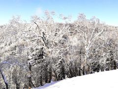 -雪谷