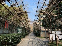 -杭州半山国家森林公园