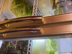 -亮欢寨(凯里总店)