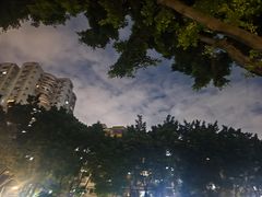 -晓港公园