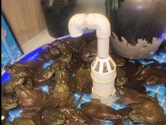 -藜爱·山海情海鲜自助(万达广场店)