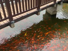 -大连植物园
